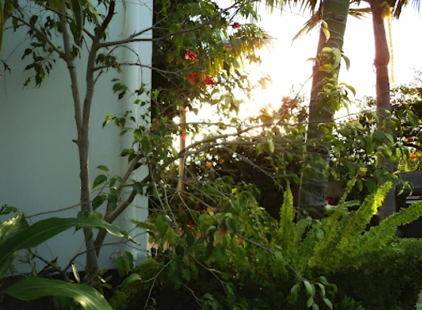 Eden Villa - Pool, Barbecue, Spectacular Views, Up To 7 Guests Фуншал Экстерьер фото
